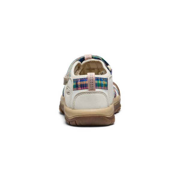 Little Kids' Newport H2  |  Gingham/Orchid Smoke