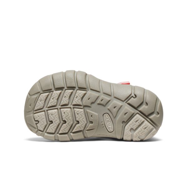 Toddlers' Seacamp II CNX | Dubarry/Giggle Pink
