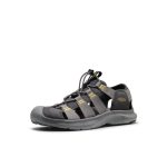 Men's Seanik H2 Sandal  |  Steel Grey/Cream Gold