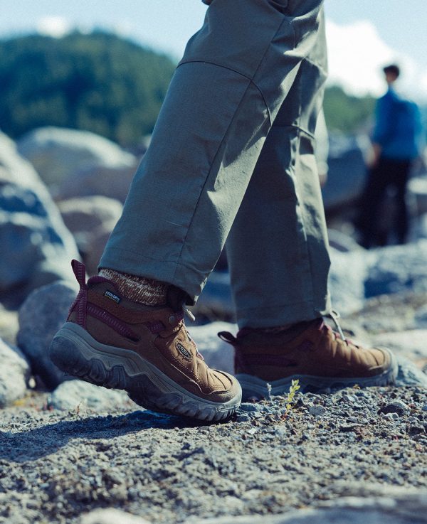 Women's Targhee IV Waterproof Hiking Shoe  |  Bison/Beaujolais