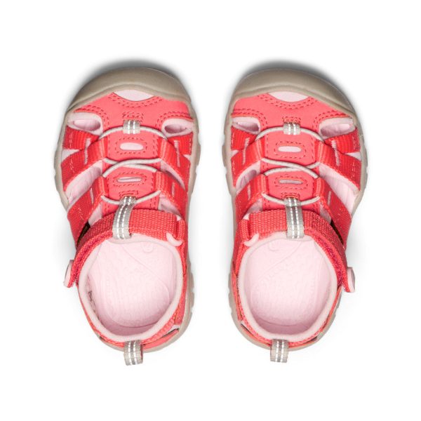 Toddlers' Seacamp II CNX | Dubarry/Giggle Pink
