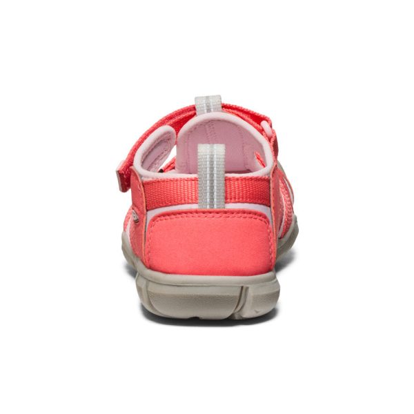 Big Kids' Seacamp II CNX  |  Dubarry/Giggle Pink