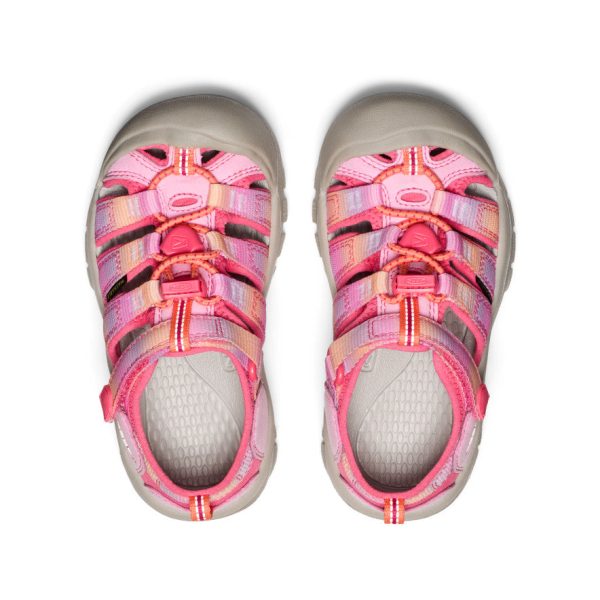 Little Kids' Newport H2  |  Hot Pink/Orchid Petal