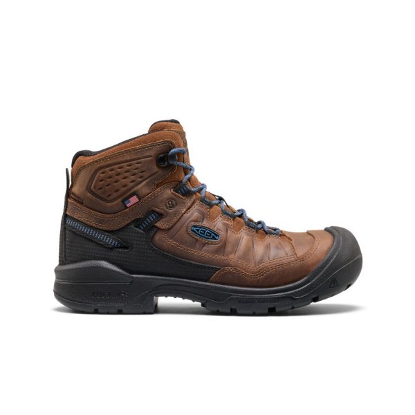 Men's Targhee IV LTR Waterproof Work Boot (Carbon Toe) | Bison/Black