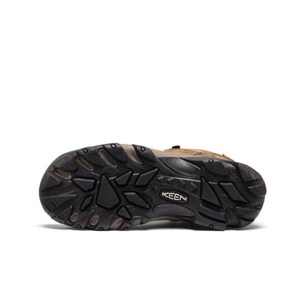 Men's Targhee II Waterproof Mid Wide  |  Black Olive/Chipmunk