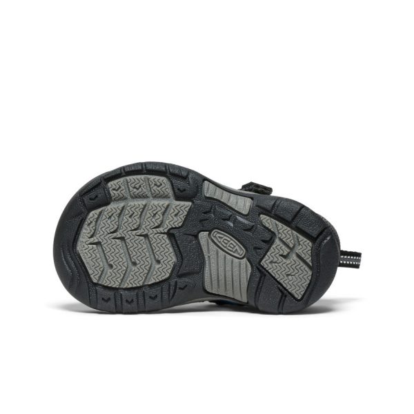 Toddlers' Newport H2 | Magnet/Brilliant Blue