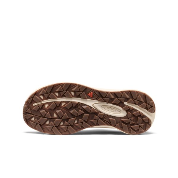 Women's Aspire Shoe  |  Huckleberry/Birch