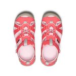 Big Kids' Seacamp II CNX  |  Dubarry/Giggle Pink