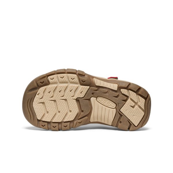 Little Kids' Newport H2 | Martini Olive/Aura Orange