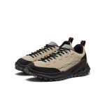 Men's Jasper Zionic Sneaker  |  Abbey Stone/Lily Pad