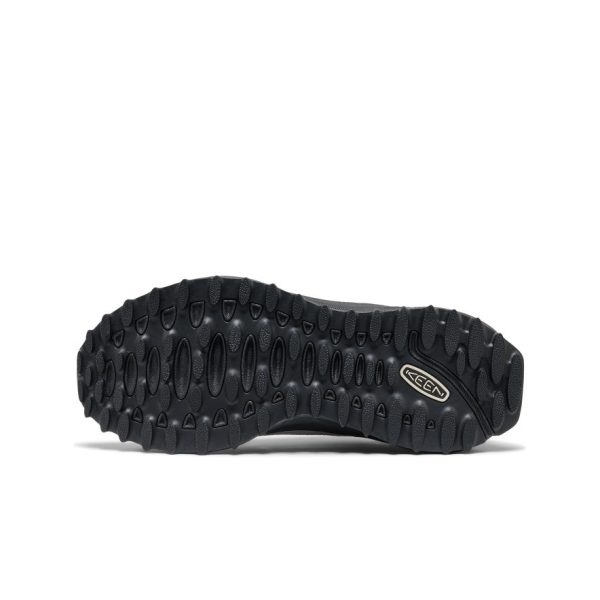 Women's Jasper Zionic Sneaker  |  Alloy/Mediterranea