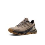 Men's Targhee Apex Wide Waterproof Hiking Shoe  |  Brindle/Canteen