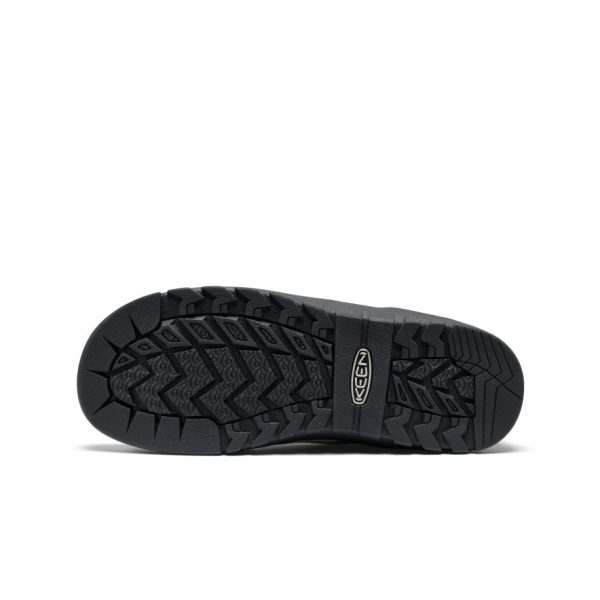 Women's Jasper Rocks Sneaker  |  Safari/Purple Haze