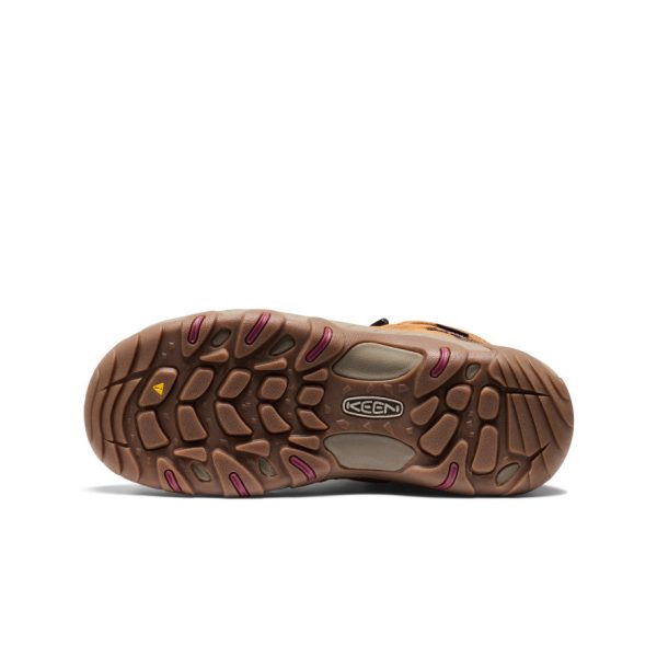 Women's Koven Waterproof Boot  |  Chipmunk/Violet Quartz