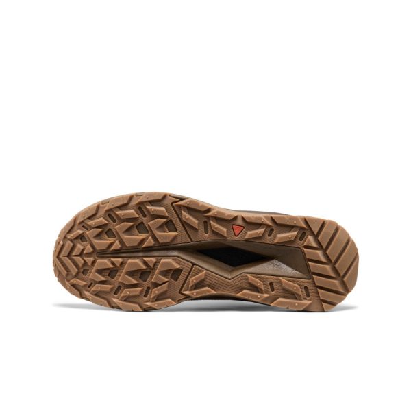 Men's Targhee Apex Waterproof Hiking Shoe  |  Java/Dark Earth