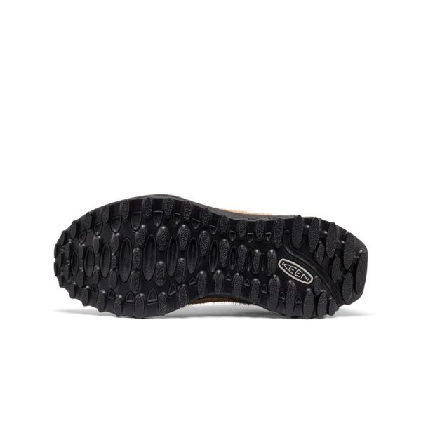 Men's Jasper Zionic Sneaker  |  Chipmunk/Huckleberry