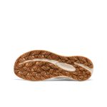 Men's Aspire Shoe | Safari/Birch