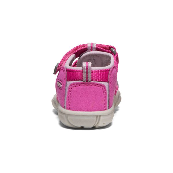Toddlers' Seacamp II CNX | Very Berry/Dawn Pink