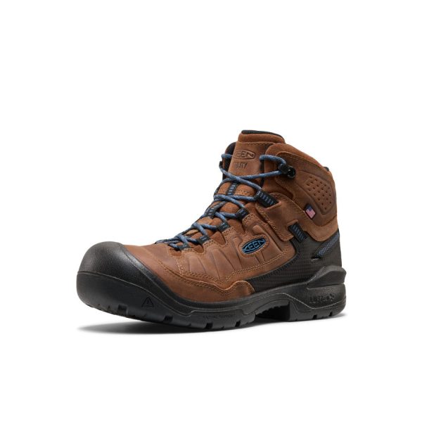 Men's Targhee IV LTR Waterproof Work Boot (Carbon Toe) | Bison/Black