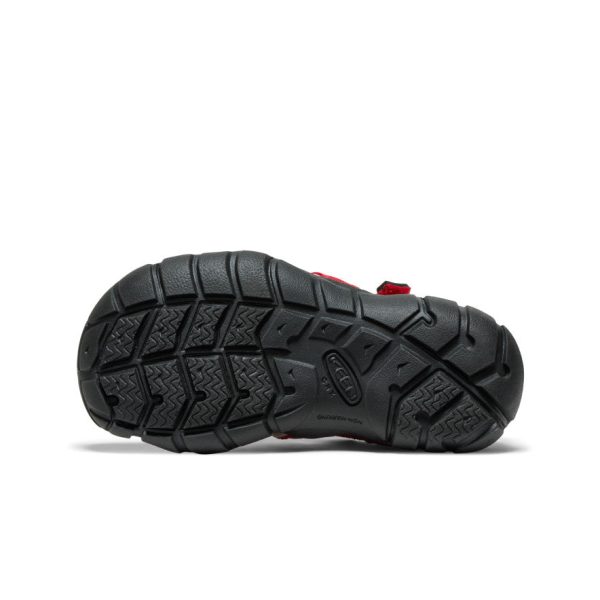 Little Kids' Seacamp II CNX | Ribbon Red/Alloy