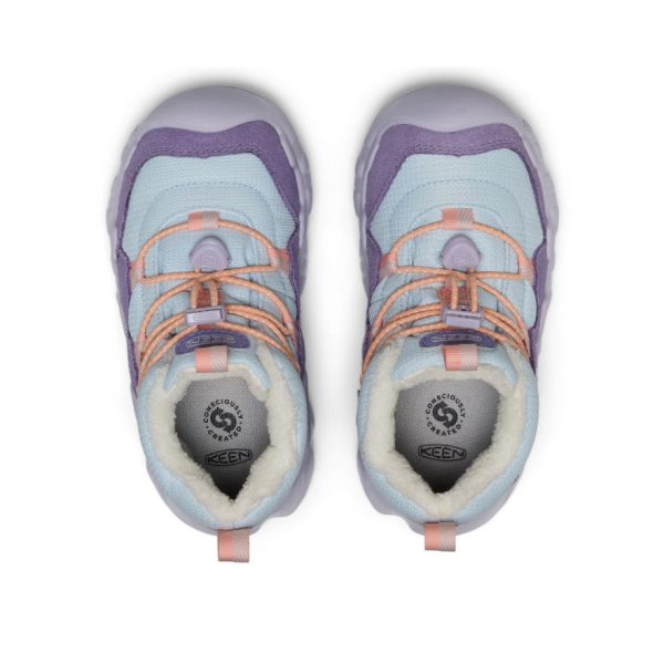 Little Kids' Hypowser Waterproof Chukka  |  Purple Haze/Skyway