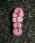 Women's Hyperport H2 Sandal x Hiking Patrol  |  Okenia Pink