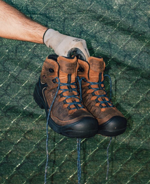 Men's Targhee IV LTR Waterproof Work Boot (Carbon Toe) | Bison/Black