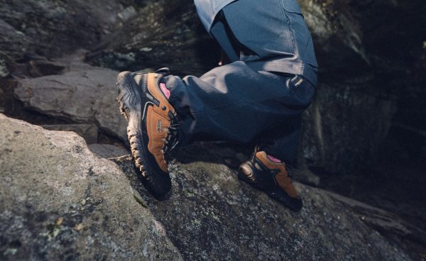 Men's Targhee IV Waterproof Hiking Shoe  |  Bison/Black