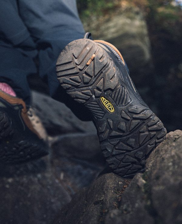 Men's Targhee IV Waterproof Hiking Shoe  |  Bison/Black