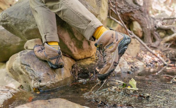 Men's Targhee II Waterproof Mid Wide  |  Black Olive/Chipmunk