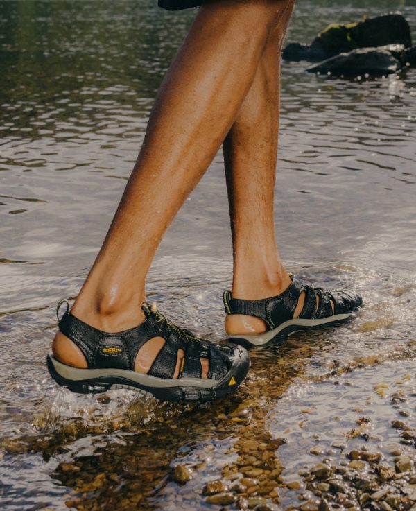 Men's Newport H2 Sandal  |  Gradient Bison