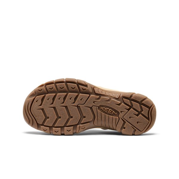 Men's Newport H2 Sandal  |  Gradient Bison