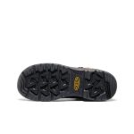Men's Targhee IV LTR Waterproof Work Boot (Carbon Toe) | Bison/Black