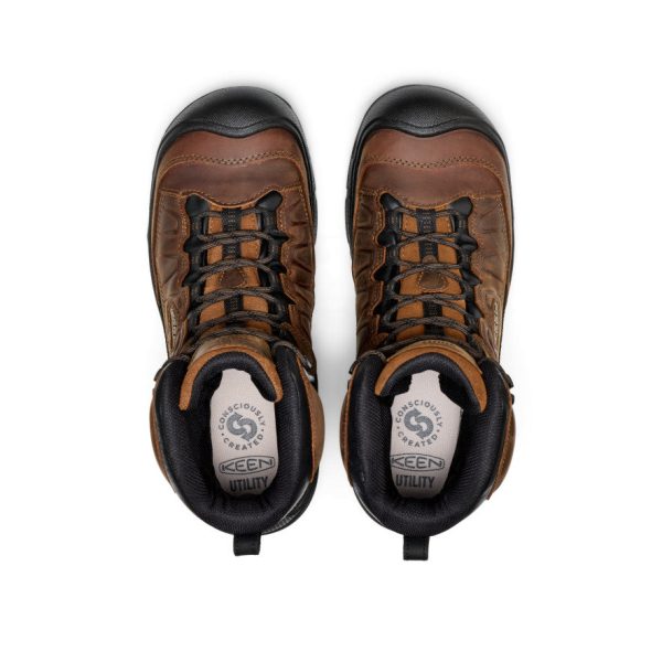 Men's Targhee IV 8 Insulated Waterproof Work Boot (Carbon Toe)  |  Bison/Black