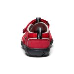 Little Kids' Seacamp II CNX | Ribbon Red/Alloy