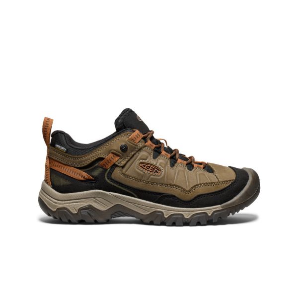 Men's Targhee IV Waterproof Hiking Shoe | Sea Turtle/Roasted Pecan