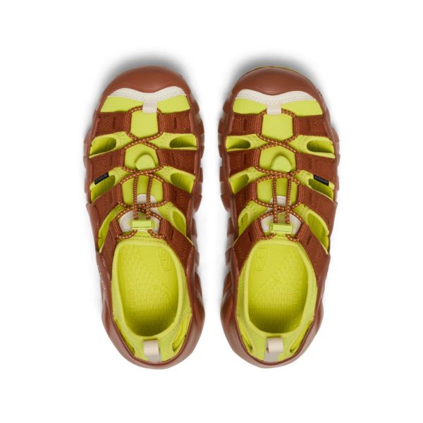 Women's Hyperport H2 Sandal x Hiking Patrol  |  Algae Green