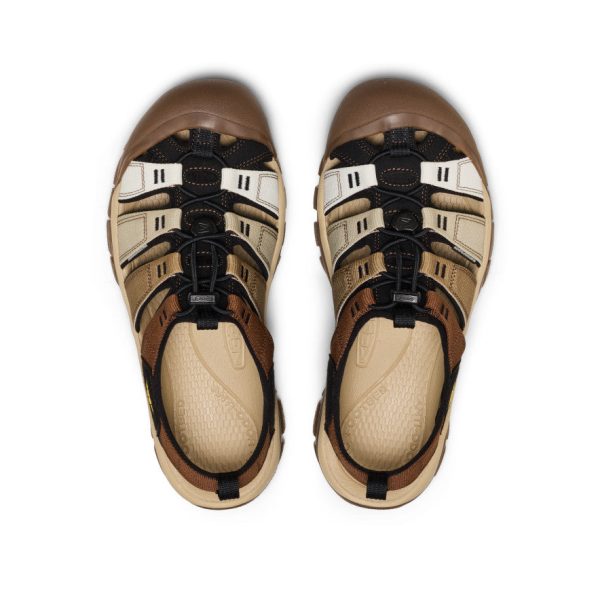 Men's Newport H2 Sandal  |  Gradient Bison