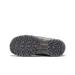 Men's Targhee EXP Waterproof Hiking Shoe  |  Steel Grey
