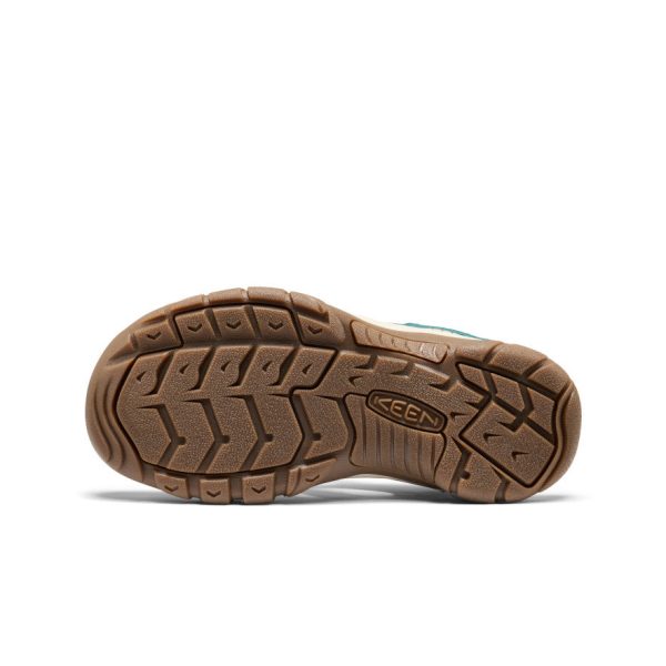 Women's Newport H2  |  Gradient Mediterranea