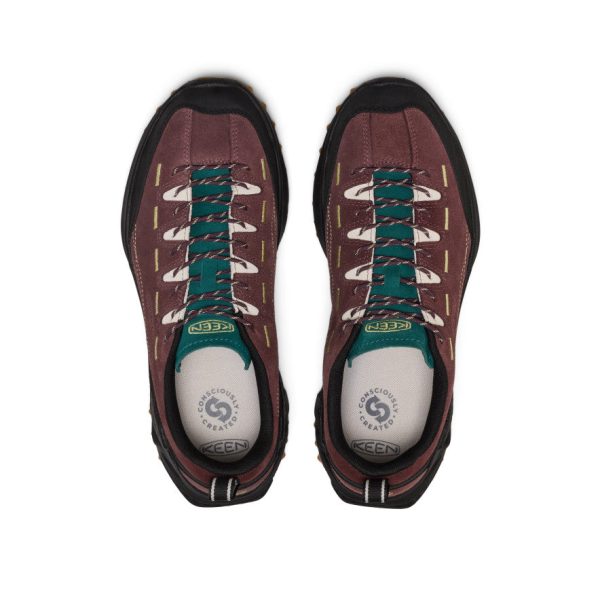 Men's Jasper Zionic Sneaker  |  Huckleberry/Lemon Grass