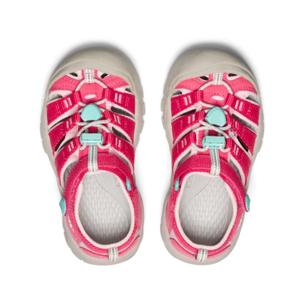Little Kids' Newport H2  |  Raspberry/Giggle Pink