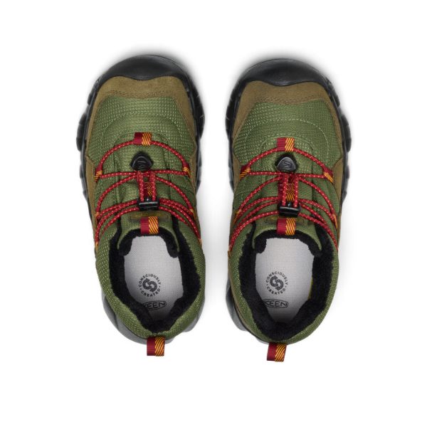 Big Kids' Hypowser Waterproof Chukka  |  Forest Night/Garnet